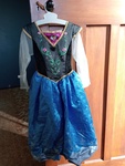 Princess Anna-Frozen dress