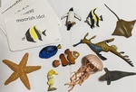 Sea Creatures with Flash cards 