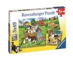 Cat and Dog Puzzles