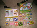 Bugs and butterflies matching game