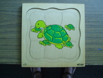 4 layered Turtle Lifecycle