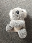Koala Soft Toy