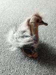 Emu Finger Puppet