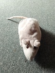 Mouse Soft Toy