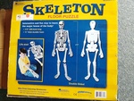 Skeleton Floor Puzzle