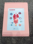 Human Anatomy