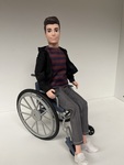 Doll with wheelchair