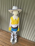 Toy Story Jesse costume