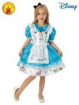 Disney Alice in Wonderland costume