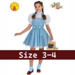 Wizard of Oz Dorothy costume size 3-4 years