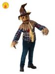 Wizard of Oz Scarecrow costume