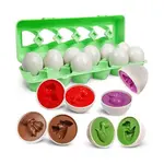 Dinosaur Matching Eggs