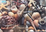Shells 500 piece puzzle