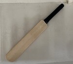 Mini cricket bat