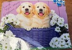 Puppies 100 piece puzzle
