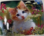 Kitten 100 piece puzzle
