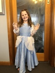 Cinderella Costume