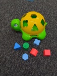 Shapey Turtle