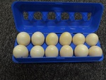 Egg Carton