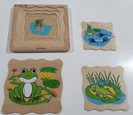 Frog Lifecycle Puzzle