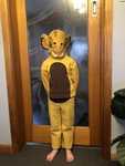 Lion King Simba Costume