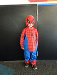 Spiderman Costume