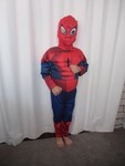 Spiderman/Antman costume