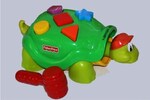 Tappy the Turtle