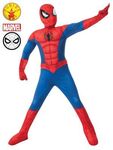 Spiderman costume