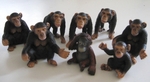 Schleich Primates Set