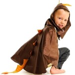 D61: Stegasaurus cape