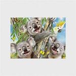 Koala selfie puzzle