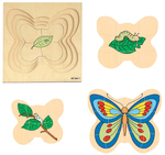 Growth puzzle - butterfly