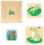 Growth puzzle - Frog