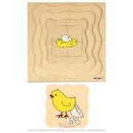 Growth puzzle - chicken