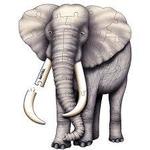 Elephant floor puzzle