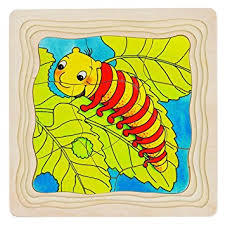 P50: Caterpillar/butterfly layer puzzle