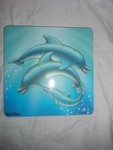 Dolphin puzzle