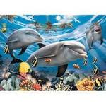 Dolphin Puzzle