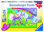 Rainbow horses puzzle