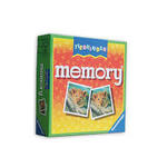 Memory Board Game