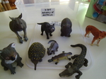 Ic265: schleich australian animals
