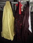 A selection of capes