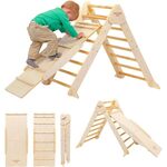 A frame and ladder/slide