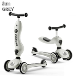 2 in 1 Scooter