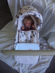 Hearing impaired doll in a pram