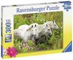 Horses in a Field 300pc  Puzzle