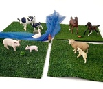 Schleich My First Farm Animals