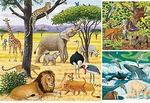 Animals of the World 49pc Puzzle Collection