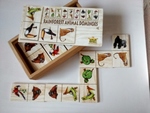 Rainforest  Animal Dominoes